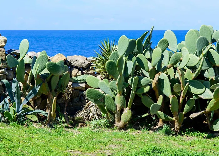 Gio Punta Caruso Lacco Ameno (Isola d'Ischia)