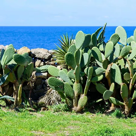 Gio Punta Caruso Lacco Ameno (Isola d'Ischia)