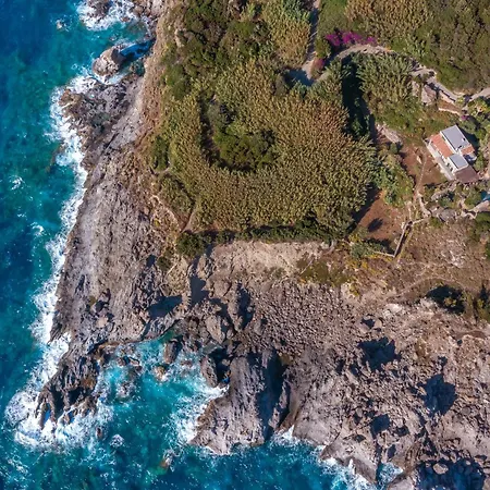 Gio Punta Caruso فيلة *